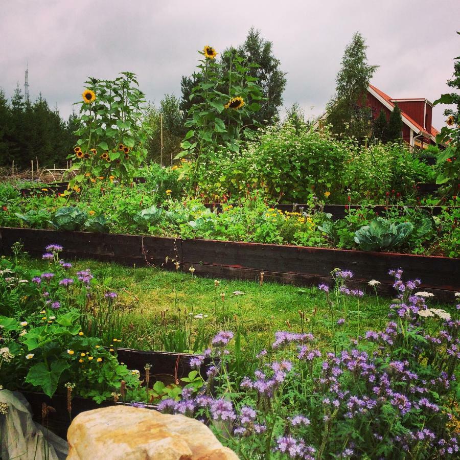 Escape to PaulssonPaleo Simlångsdalen Exterior foto