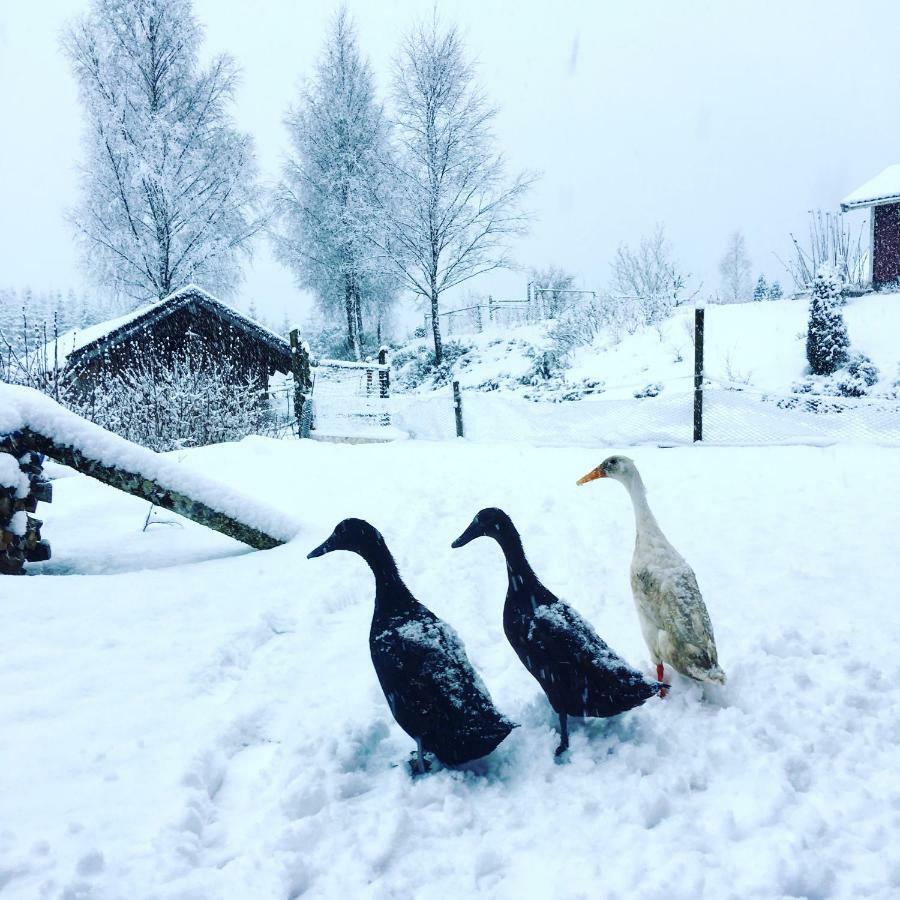 Escape to PaulssonPaleo Simlångsdalen Exterior foto